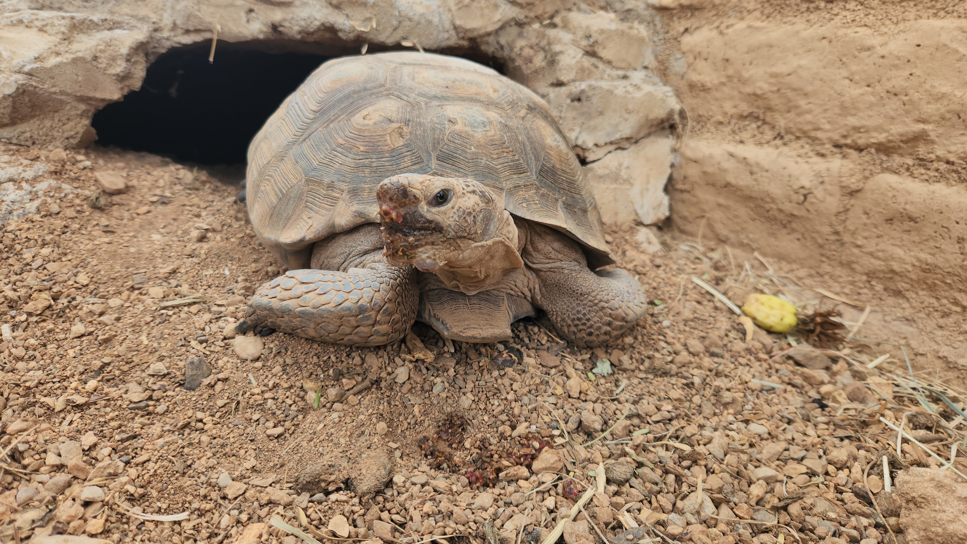 Boss overseeing fieldwork