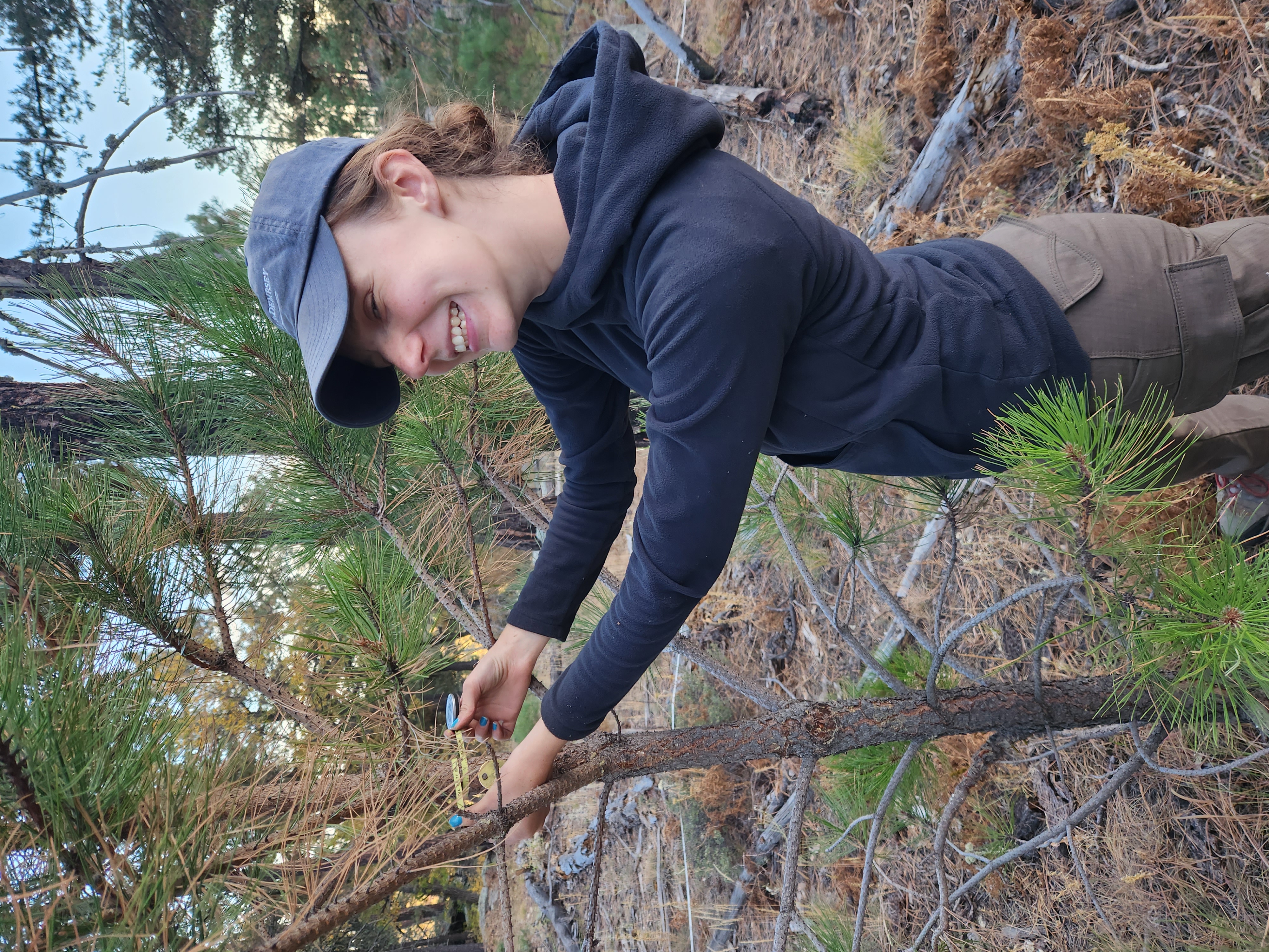 Fire Ecology Fieldwork