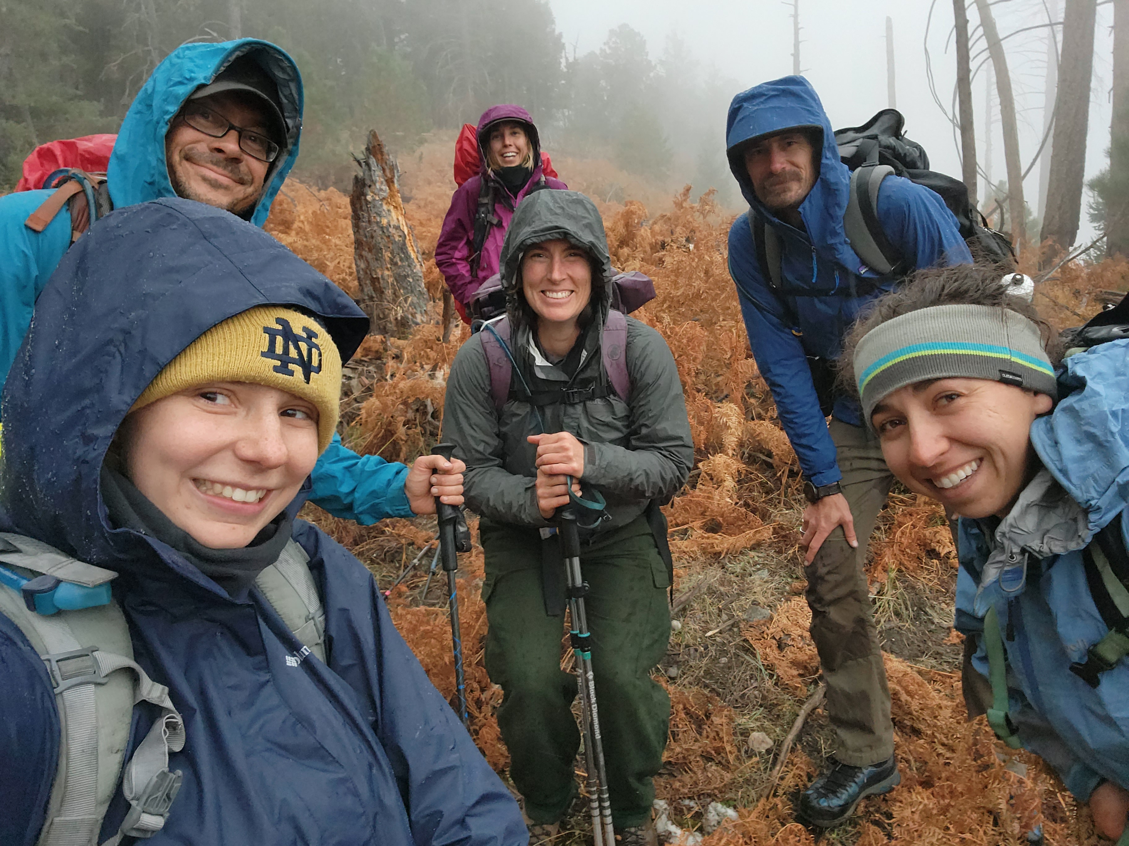 Fire Crew in the Field