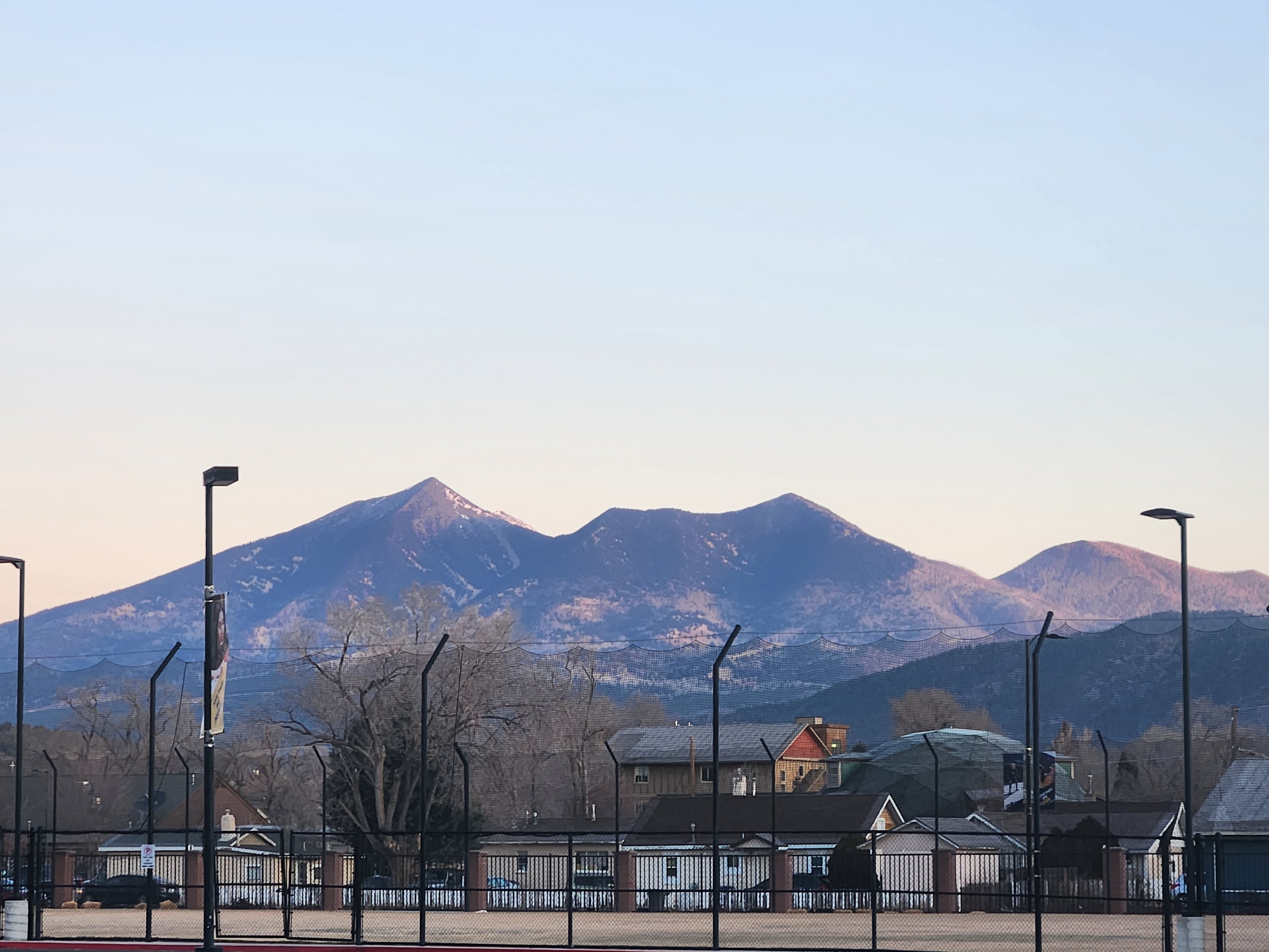 Mountain Grassland Habitat